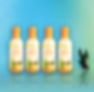 Квартет Манго (ПЕТ)